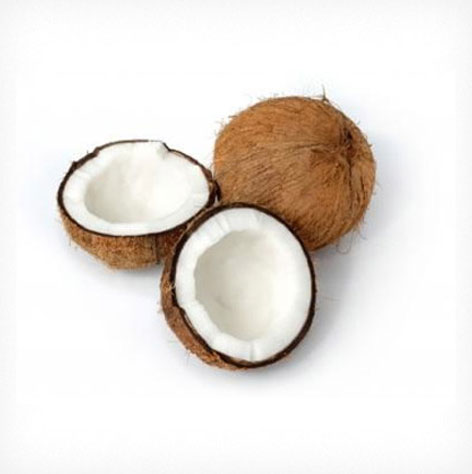 Fresh Coconut Exporters